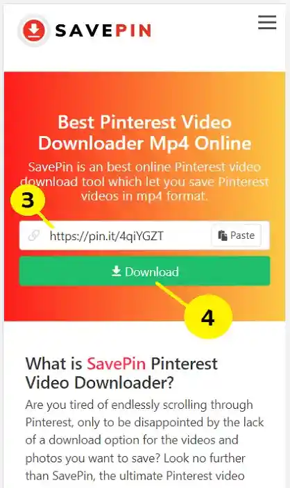 Paste Link in Ppin